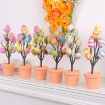 Picture of Funny Easter Egg Potted Plant